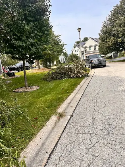 Pile of cut branches stacked at the curb. Lakefront Tree Service serves Green Oaks, IL.